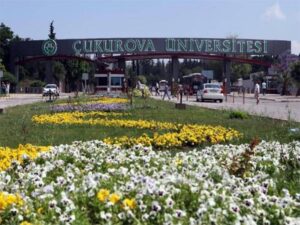 دانشگاه چوکوروا