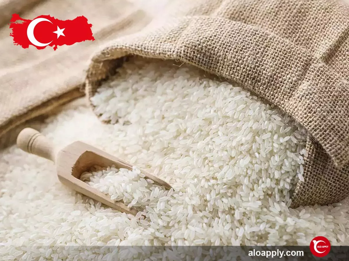 بردن برنج به ترکیه
